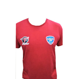 Vinyl Printing - Front Left or Right Logo