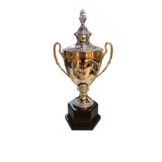 Fury Silver Cup Trophy - No.4