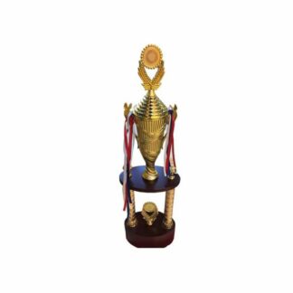 Fury Generic Trophy - No.15