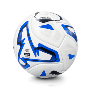 Puma Stellar Goal Hard Ground Football (FIFA® Quality) - Size 5